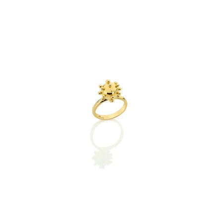 Anello Sfera Conti